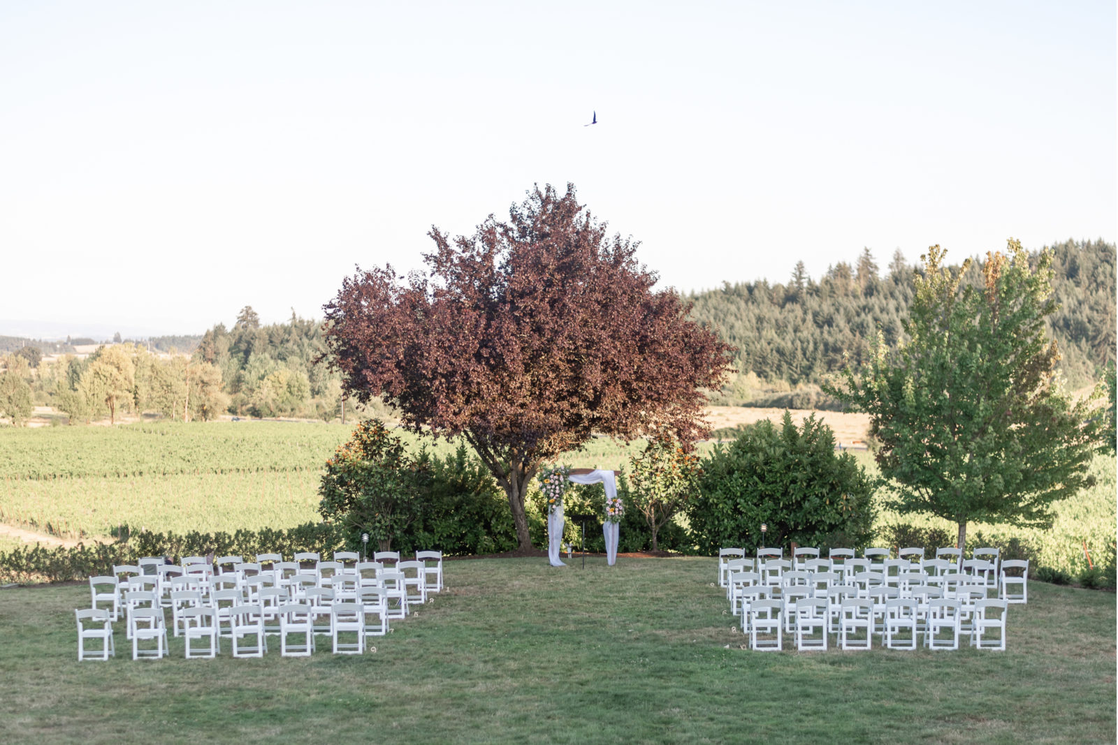 Ceremony setup and details for Classic Summer Vineyard Wedding at Zenith Vineyards in Salem, Oregon